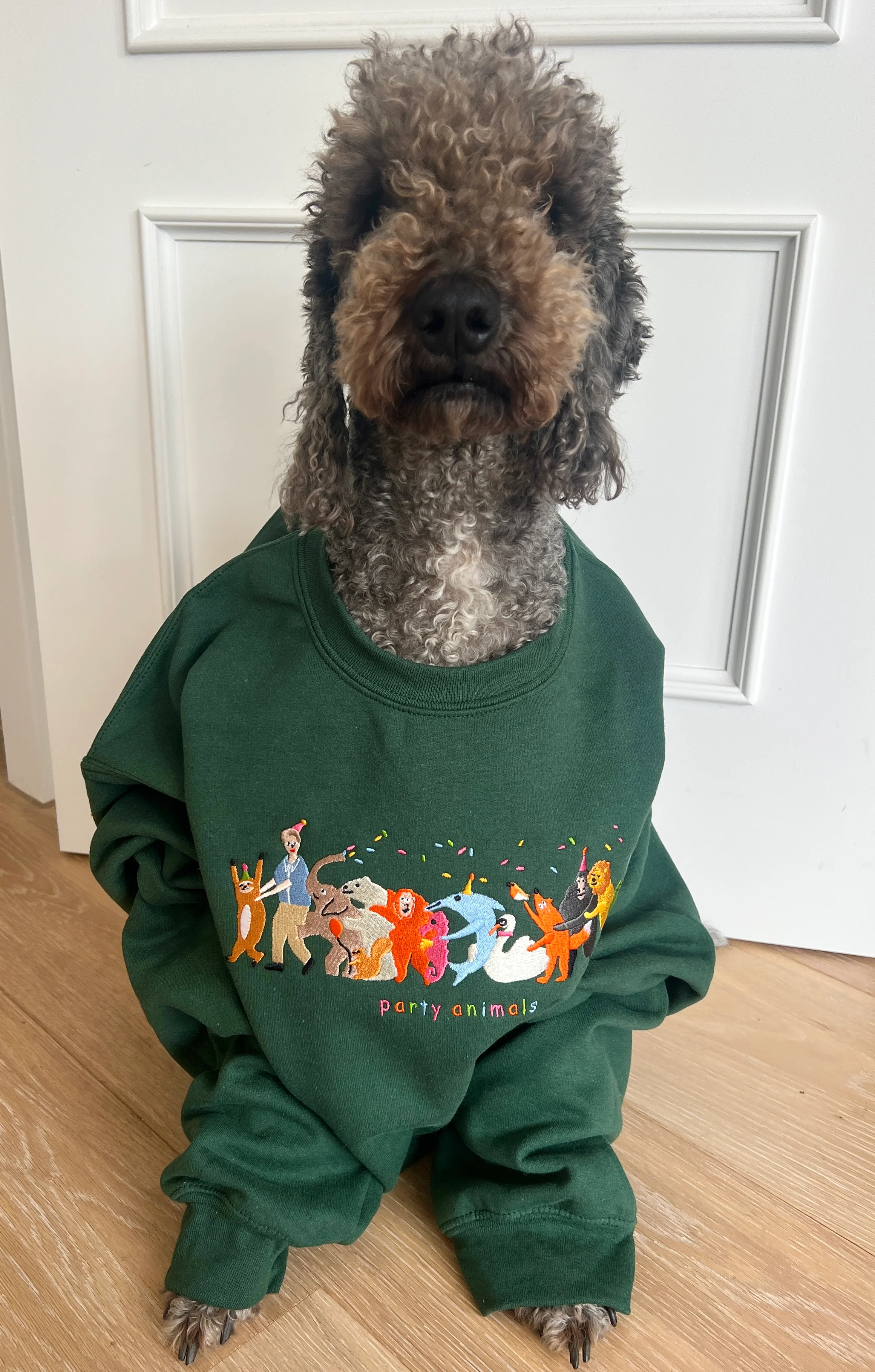Party Animals David Attenborough Embroidered Sweatshirt - Image 13